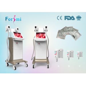 Cheap Cryolipolysis for weight loss 3.5 inch handle scree Cryolipolysis Slimming Machine FMC-I Fat Freezing Machine for sale
