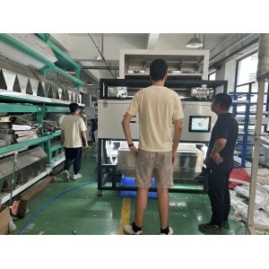 Optical WYDB4 Soapberry Color Sorting Machine for Soup Pods Color Separator