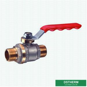 Customized Forged Brass Ball Valve Steel Handle Double Female Threaded Two