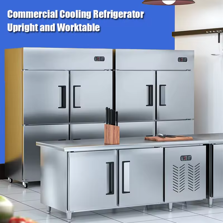 Stainless Steel Double Door Top Freezer Refrigeration 150 Lbs Upright Refrigerator Freezer
