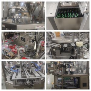 Rotary Pouch Packing Machine with 8-12 Stations and Vacuum Option