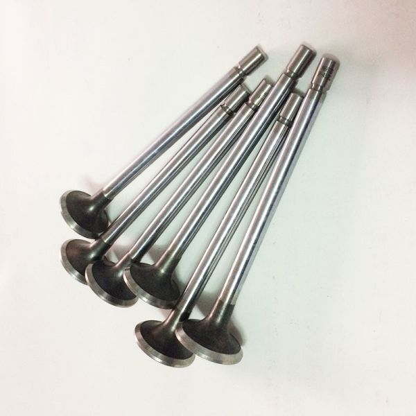 Quality Diesel Valve Train Engine Intake Valve And Exhaust Valve E13 E15 wholesale