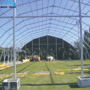Beautiful Polygon Tent Playground , Durable Tennis Court Canopy