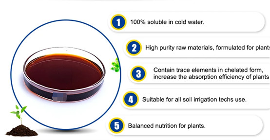 Organic liquid fertilizer and the best quality supplier for agricultural products for Fruit