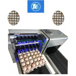 Cheap Date / Number Egg Batch Coding Machine With 0 - 5mm Printing Distance for sale