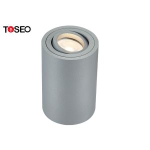 Black 220V Ceiling Surface Mounted Downlight For Showroom