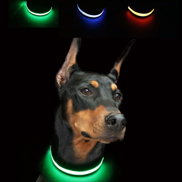 Custom Nylon Glowing Rechargeable Usb Safety Dog LED Collars