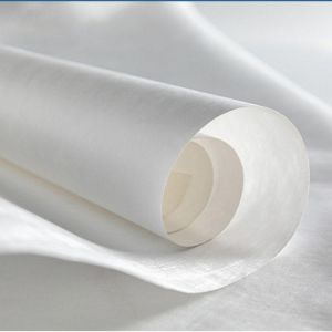 Cheap Dupont Paper Dupont Paper Roll Tyvek Paper Tyvek Paper Roll Hypak Paper Hypack Paper Roll Dulai Paper Dulai Paper Roll A4 Paper Waterproof Paper for sale