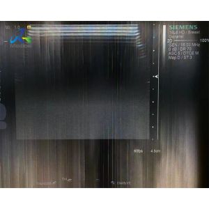 Siemens 18L6 Ultrasound Probe Repair Service Crystal Array Replacement