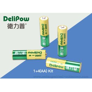 Compact Design 1000mAh Rechargeable Battery Kit Nimh 4 AA Delipow