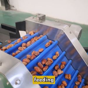 Unrivaled Accuracy Achieves Perfection In Date Sorting Grading Machine With High