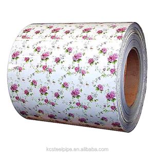 AZ41 PPGI Prepainted Galvanized Steel Coil Color Painted 12m