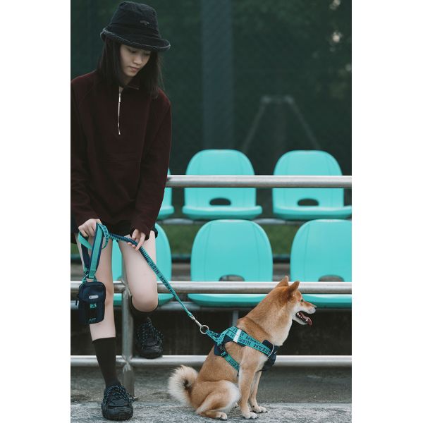 Nylon Hands Free Heavy Duty Dog Walking Belt Retractable Carabiner With Backpack