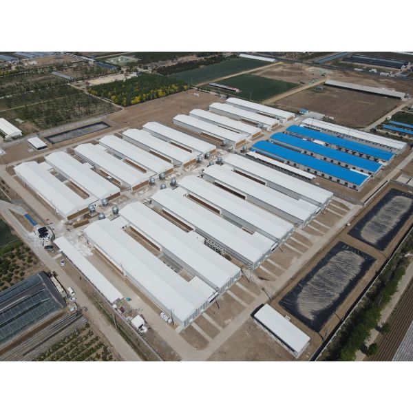 Modern Steel Structure Buildings Covering Multiple Fields