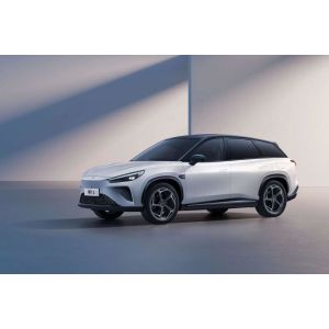 2024 Pure Electric SUV NETA L Electric Car With Range 510km