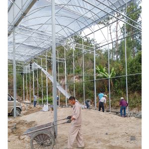 Single Layer PE Ground Cover for IGreen Greenhouse's Steam-Greenhouse Roofing