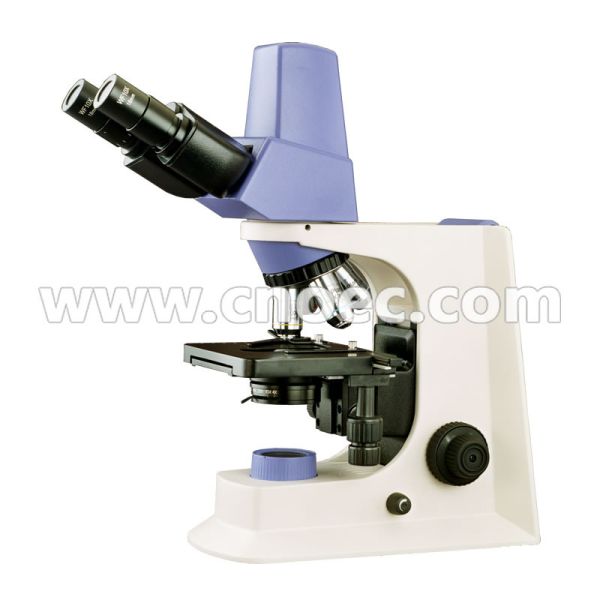 WF10X/20mm Seidentopf Binocular Digital Microscope A31.2601 With Mechanical