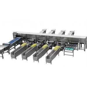 Industrial Chicken Egg Washing Machine Automatic Chicken Egg Processing Line