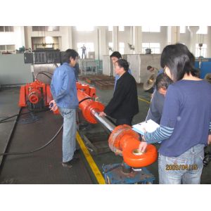 Horizontal Miter Gate Largest Hydraulic Cylinder Hydraulic Hoist QRWY