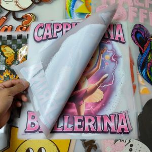 Cheap Multiple Colors DFT Printing Transfers Washable Screen Printed Heat Transfers for sale