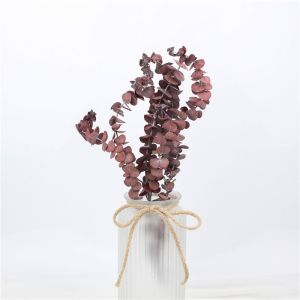 Lovely Preserve Eucalyptus Leaves , Eucalyptus Dried Flowers With Long Life