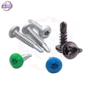 Black Torx Head Star Security Self Tapping Drilling Screw with Anti-Theft