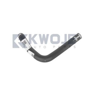 OEM F25-1303033 Auto Parts Engine Radiator Coolant Expension Box Inlet Pipe For