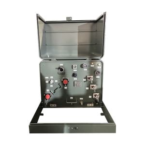 167 Kva Single Phase Pad Mounted Power Distribution Transformer IEEE ANSI