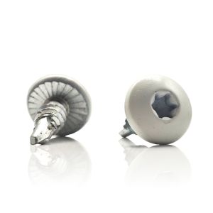 High Strength Self Tapping Screw With White Painted Torx Truss Head