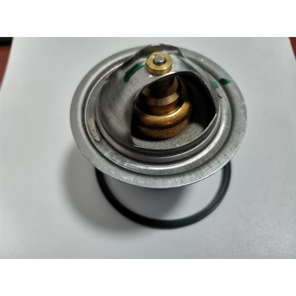 TAD851VE Engine 924548.0200 Penta Thermostat 0