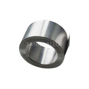 Evanohm / Karma / Nickel Chromium / Pure Nickel / Constantan Foil 0.008mm Fine