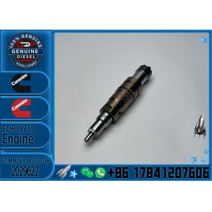 High-quality Engine Parts for Construction Machinery Fuel Injector 2029622