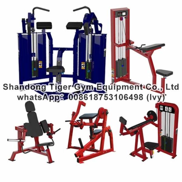 Quality Gym Fitness Equipment Iso-lateral biceps machine / Seated Biceps /Biceps Curl exercise machine wholesale