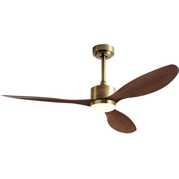 Quality Wholesale factory Led Ceiling Fan Simple Rose Gold Design Fancy Plastic Ceiling Fan with Remote Control wholesale