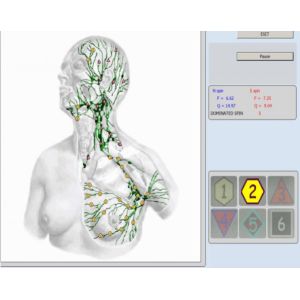 8D Lris NLS Stable and Faster Health Diagnosis Disease Detecting at Home Physiotherapy