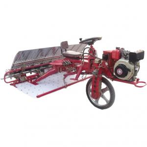 Cheap Double Planting Arm 6 Row Rice Transplanter Machine 300mm Row Space for sale