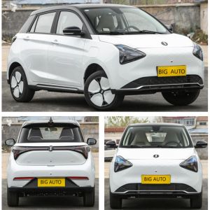 CLTC Range Up To 335km High Speed Pure Electric Car Joy 01 High End Mini SUV