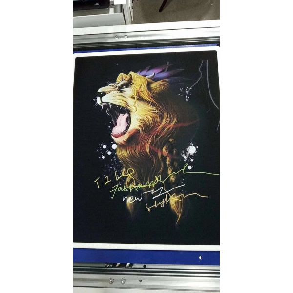 High Performance Industrial Digital T Shirt Printing Machine With Ricoh GH2220 Head