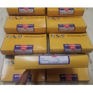 F21C NPR Piston Rings 13011-3310A 13019-1730A For HINO Engine Parts