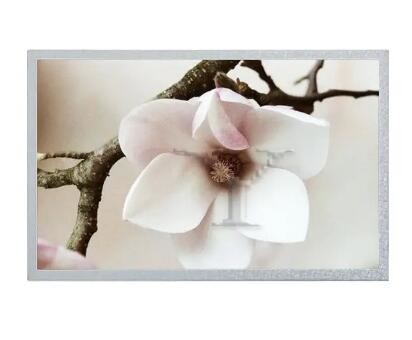 Quality 5 Inch 800*480 Hj050na-01i Medical Lcd Display Panels Tft Luminance 350cd/M2 wholesale