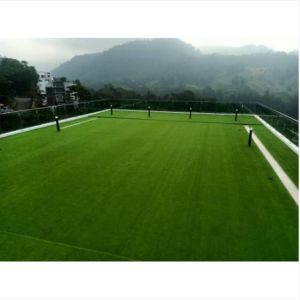 No Glare PE Garden Artificial Grass Plump Thick And Soft Surface