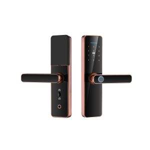 QLEUNG Tuya Wifi TTlock App Digital Locks Advanced Fingerprint Door Lock with