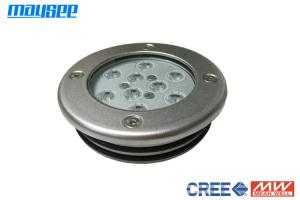 Cheap 316 Stainless Steel Housing LED Inground Swimming Pool Light For Pond for sale