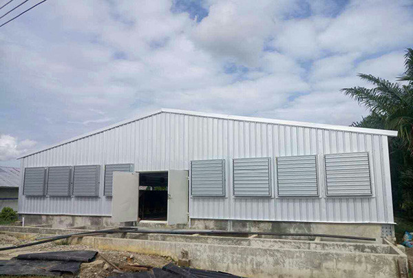 Quality Q235B Steel Structure Poultry House  Painted Steel Frame Chicken Coop wholesale