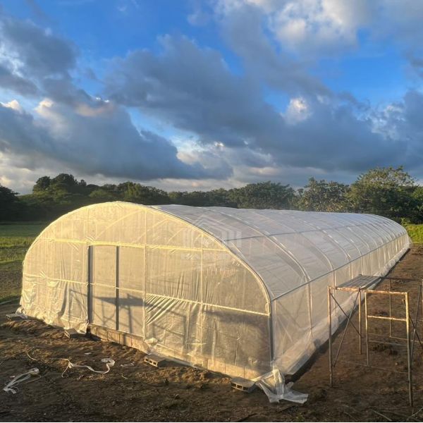 Quality Custom Tunnel Greenhouse 8x30m Agricultural Greenhouse Kit For Planting wholesale