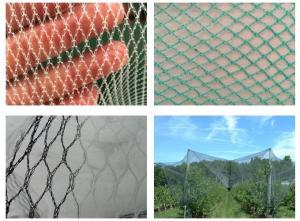 Cheap HDPE Agriculture Apple Tree Anti Hail Net for Plantations for sale