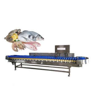 280pcs/Mins Automatic Industry Fish Shrimp Weight Sorting Machine