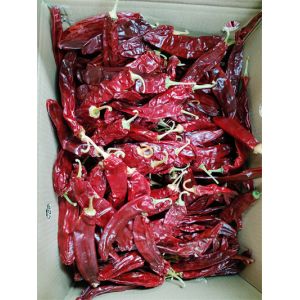 New Crop Sweet Paprika Pepper Pungent 13-18 Cm 220 ASTA