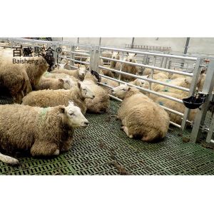 Prefabricated Hot Dip Galvanised Steel Structure Barn Shed for Cow Chicken Sheep