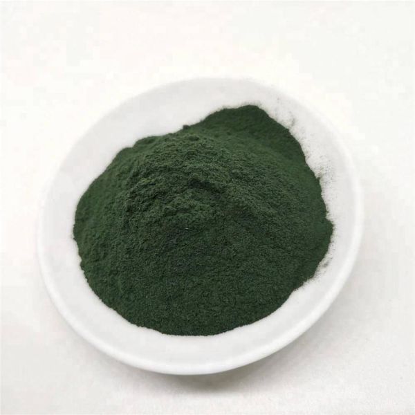 Quality Wholesale Chlorella Powder Organic From China Supplier wholesale